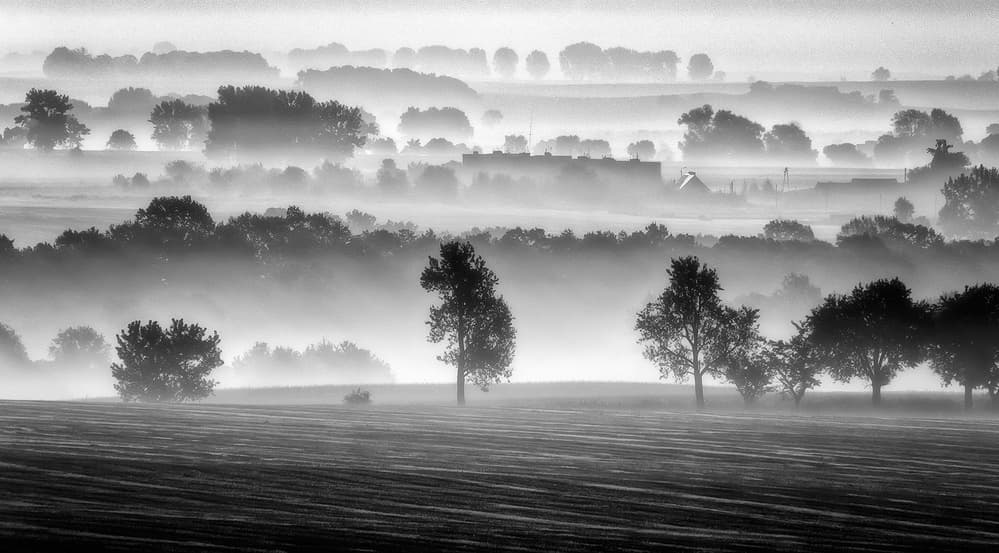 Misty Morning Landscape by Piotr Krol (Bax) — canvas wall art