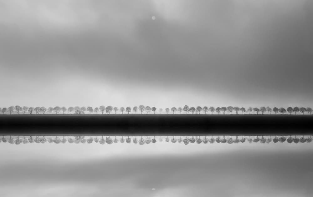 Misty Tree Reflection by Huib Limberg — canvas wall art