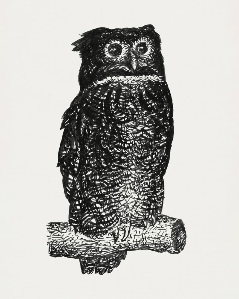 Owl by Leo Gestel — canvas wall art
