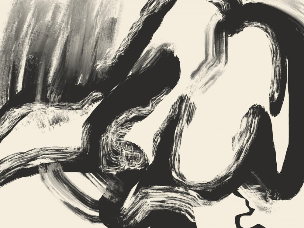 Bold Abstract Brushwork by Little Dean — canvas wall art
