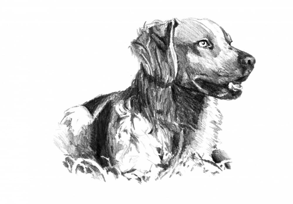 Noble Dog Portrait by Kulik — canvas wall art