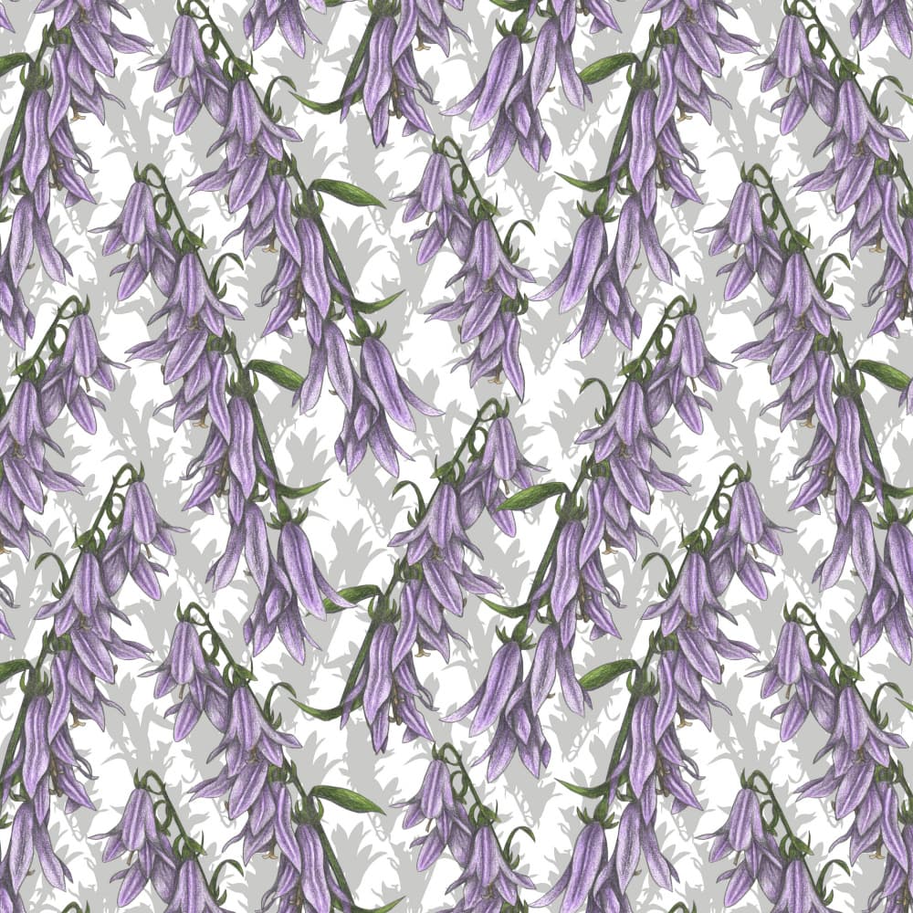 Graceful Bellflower Pattern by Cecilia Battaini — canvas wall art