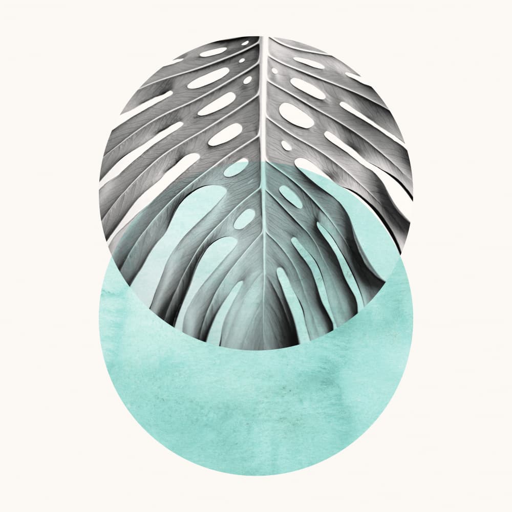 Abstract Teal Monstera by Vitor Costa — canvas wall art