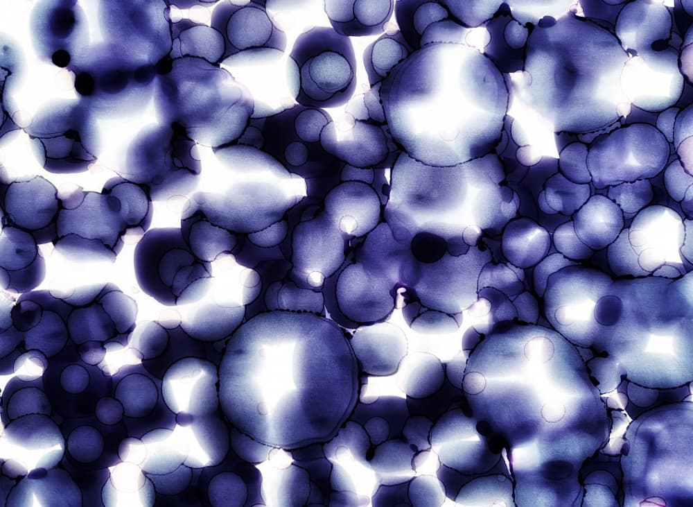 Luminous Organic Shapes by Tara Mann — canvas wall art