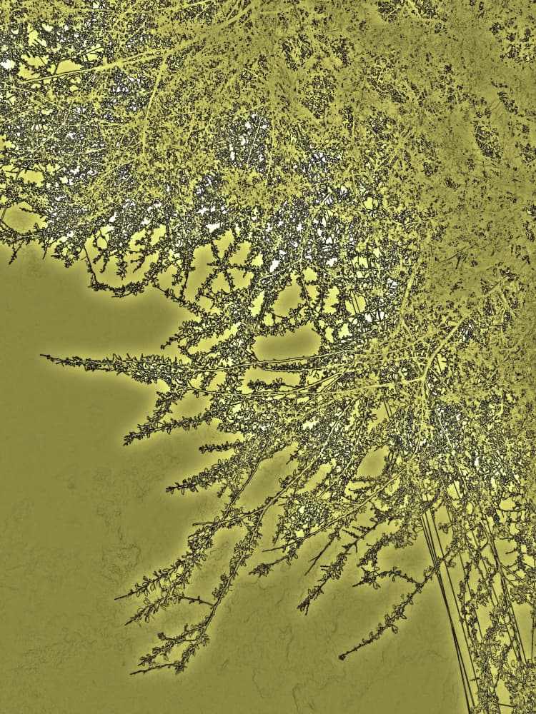 Textured Green Branches by Santhosh ch — canvas wall art