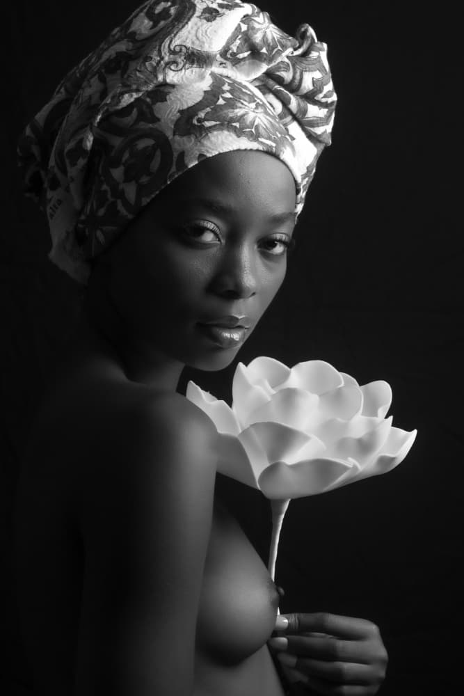 flower of Africa by Ruth Franke — canvas wall art