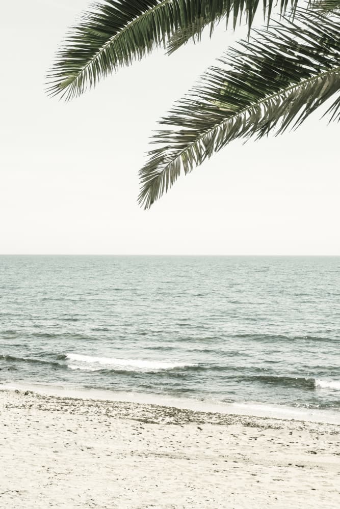 Ocean Palms Beach by Pictufy Studio III — canvas wall art