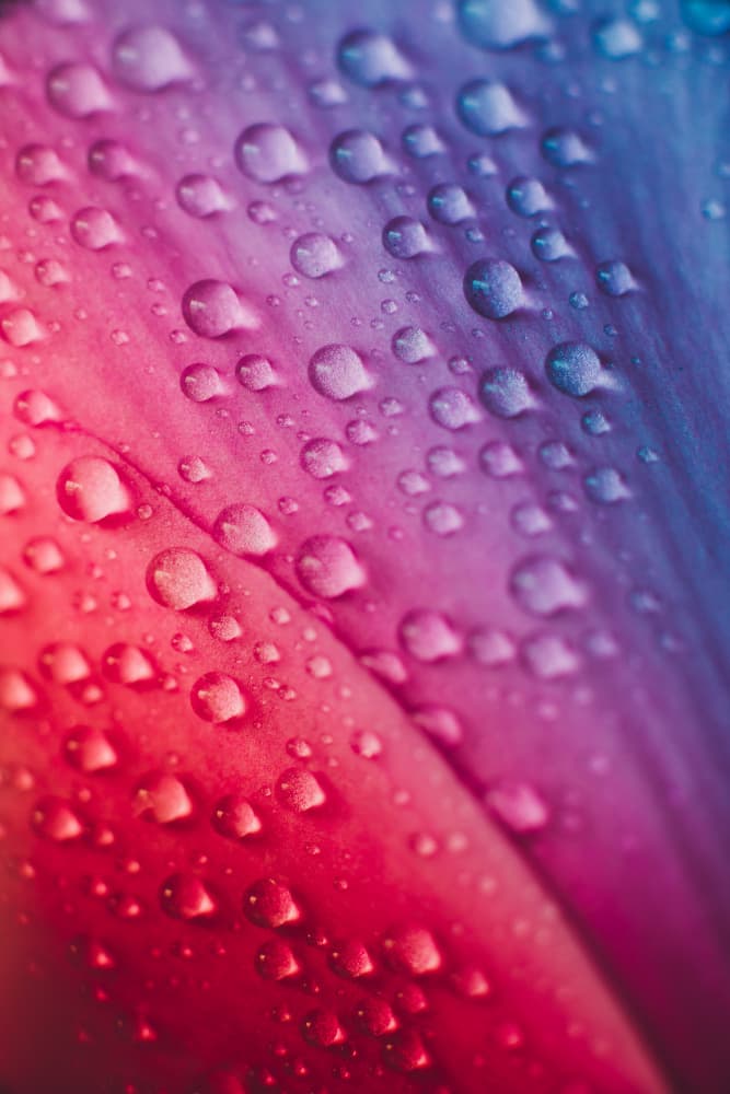 Gradient Water Drops by Javier Pardina — canvas wall art