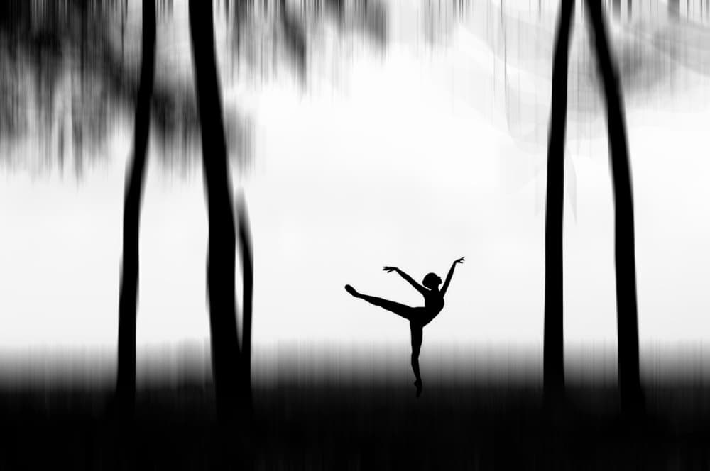 Graceful Forest Ballet