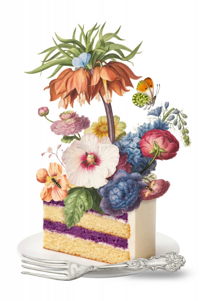 Floral Cake Slice by Marja van den Hurk — canvas wall art