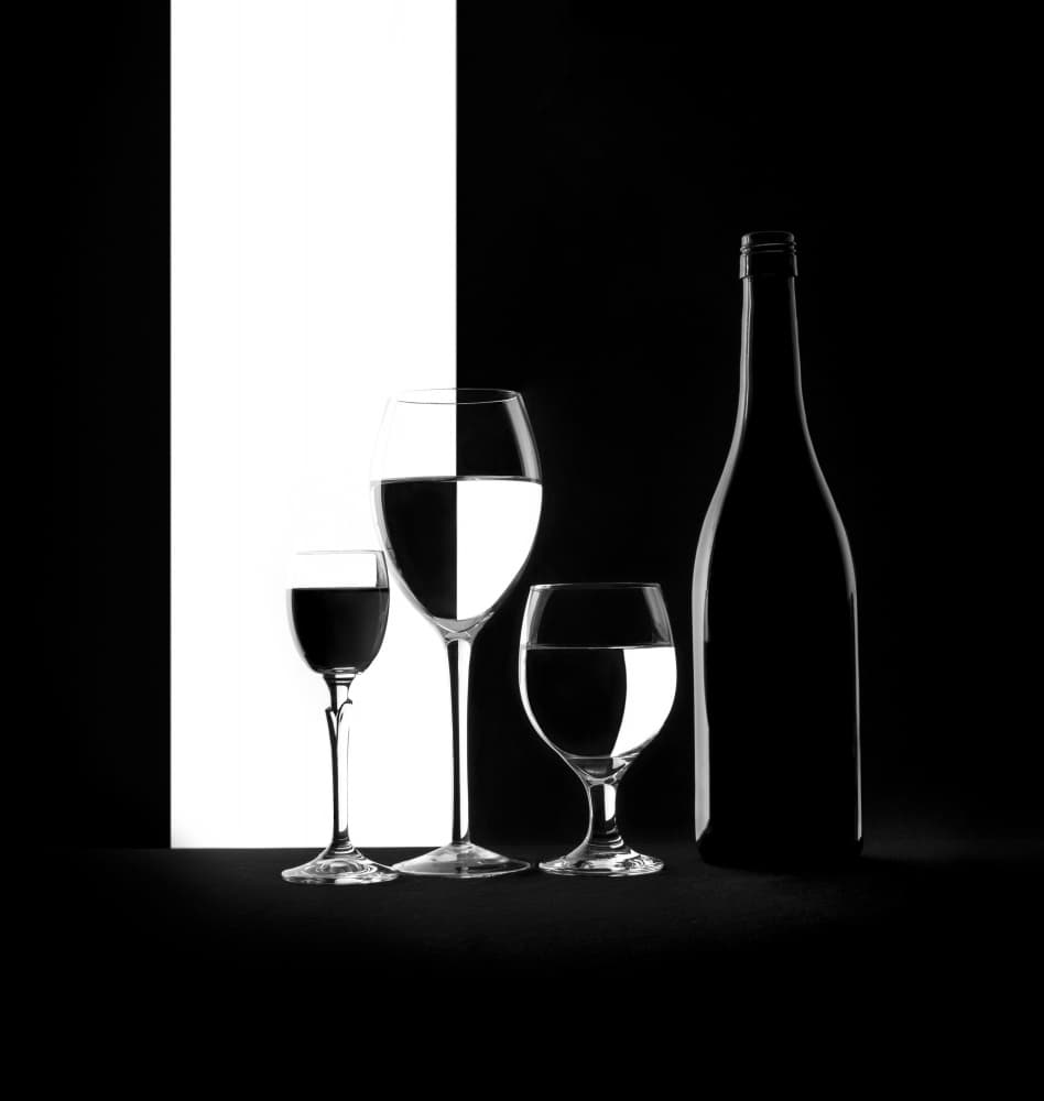 High Contrast Still Life by Margareth Perfoncio — canvas wall art
