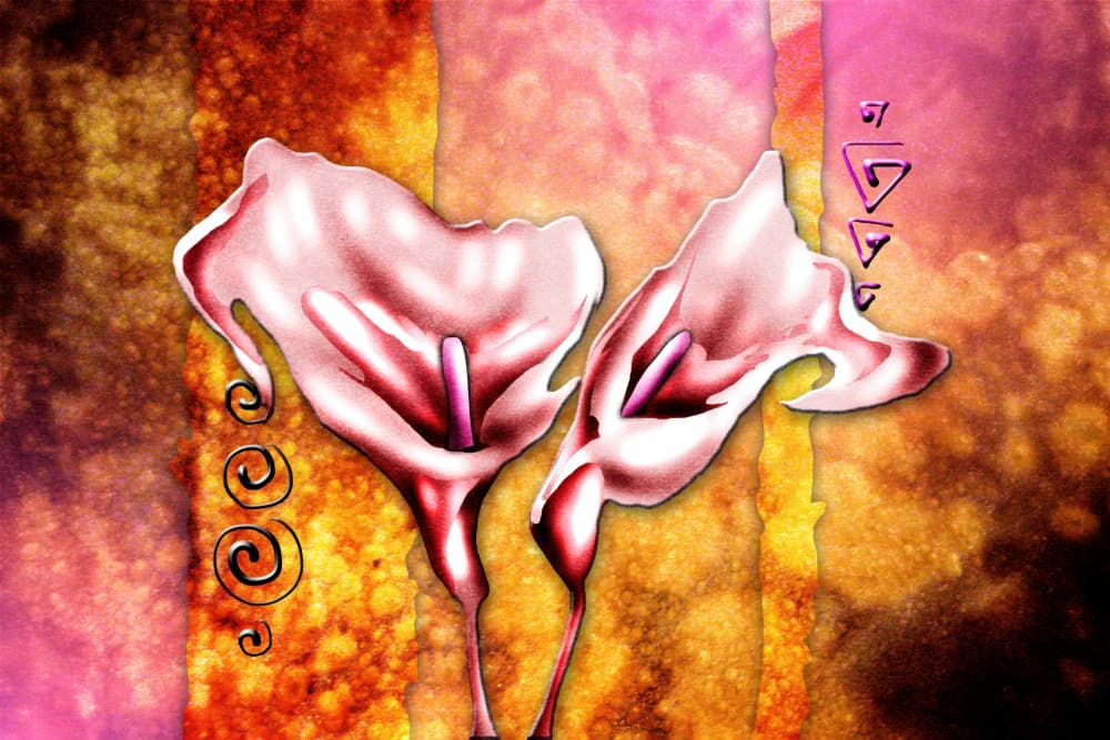 Vibrant Calla Lilies by Rafal Kulik — canvas wall art