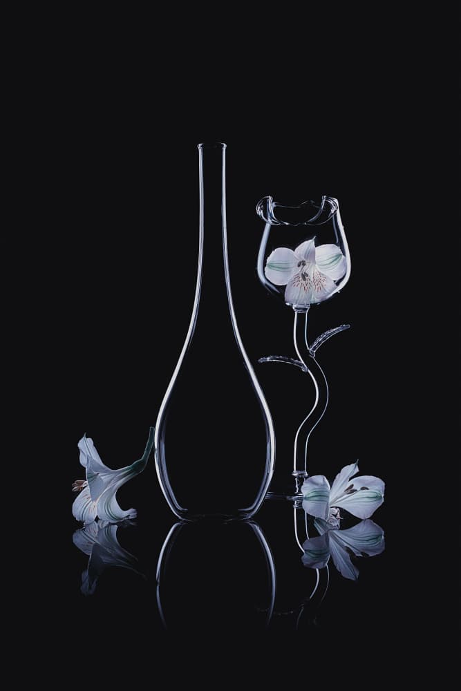 Elegant Glass Orchids by Lydia Jacobs — canvas wall art