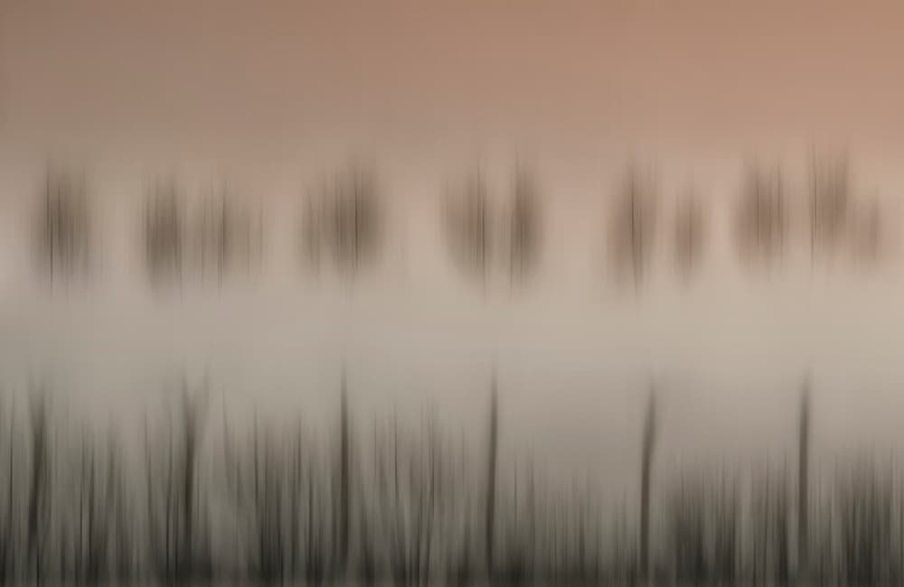 Dreamy Blurred Forest by Yvette Depaepe — canvas wall art