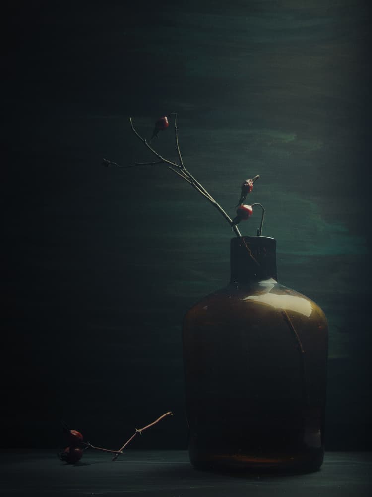 Quiet Rose Hips Bottle by Vladimir Pavlovskyy — canvas wall art
