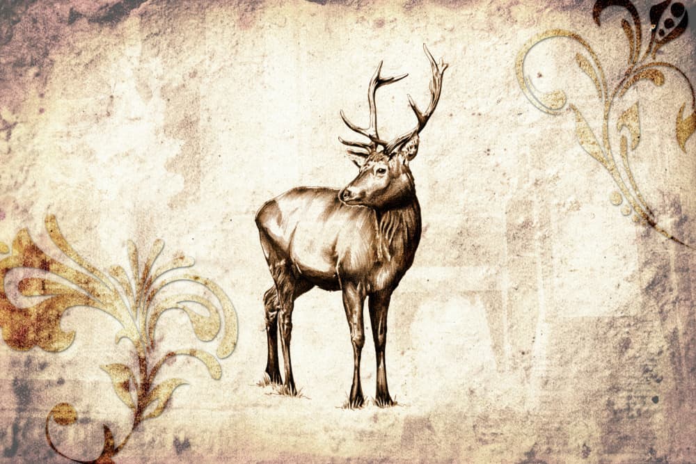 Vintage Stag Illustration by Rafal Kulik — canvas wall art