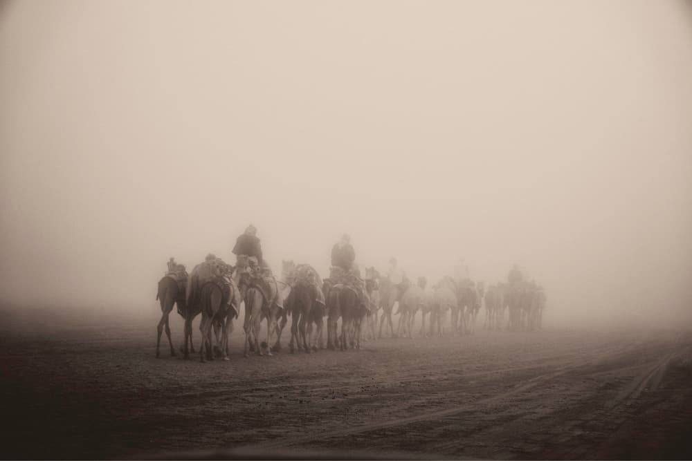 Misty Desert Caravan by Rami Al Adwan — canvas wall art