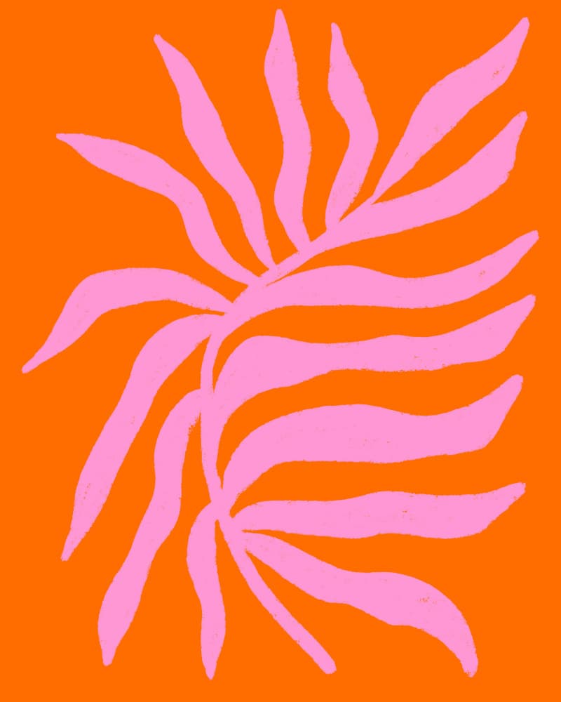 Orange Pink Botanicals