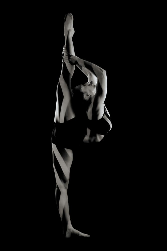 Graceful Dancer Silhouette by Howard Ashton-Jones — canvas wall art