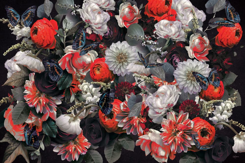 Dark Floral Butterflies by Sue Skellern — canvas wall art