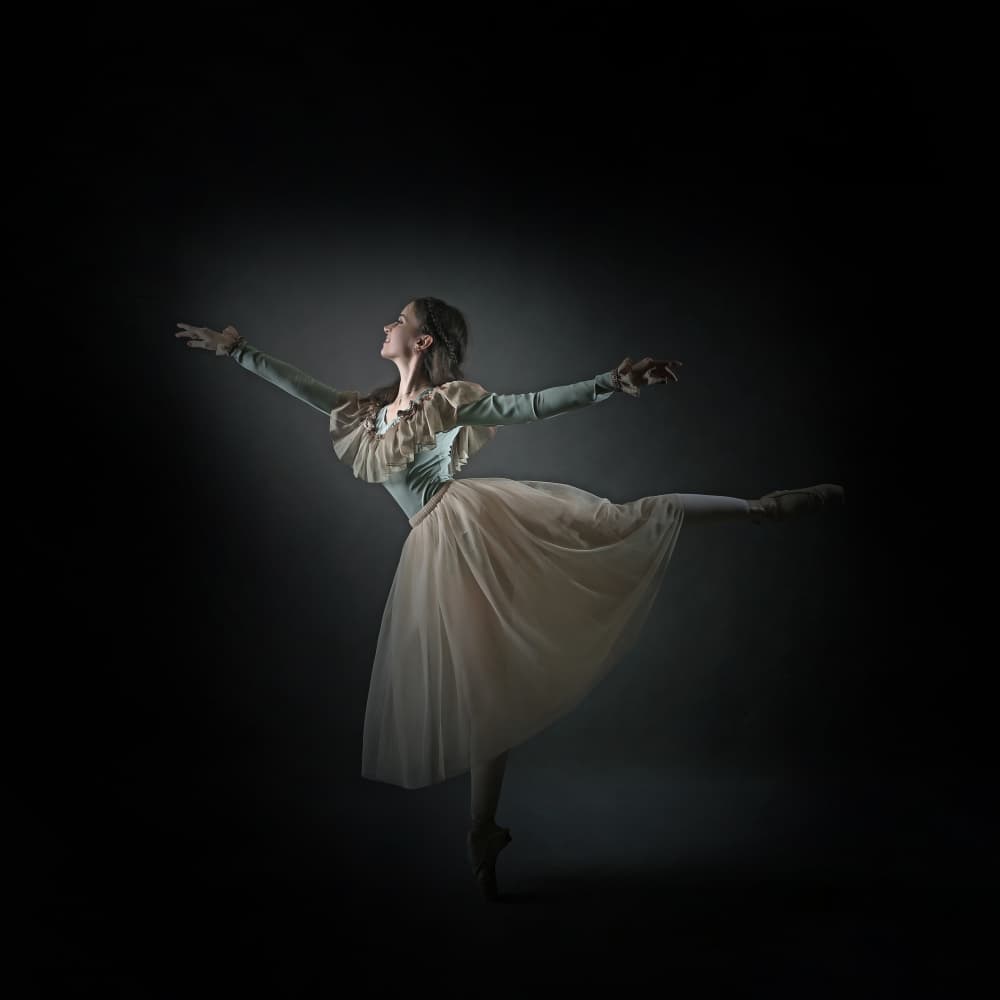 Graceful Ballet Dancer by Moein Hasheminasab — canvas wall art