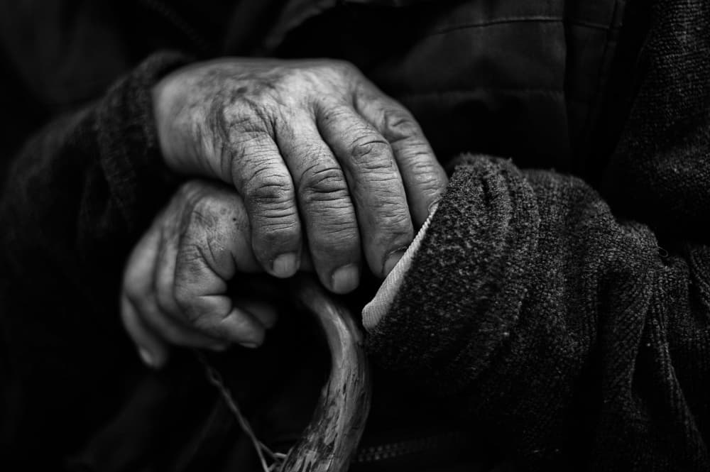Aged Hands Holding Cane by Yiannis Logiotatides — canvas wall art