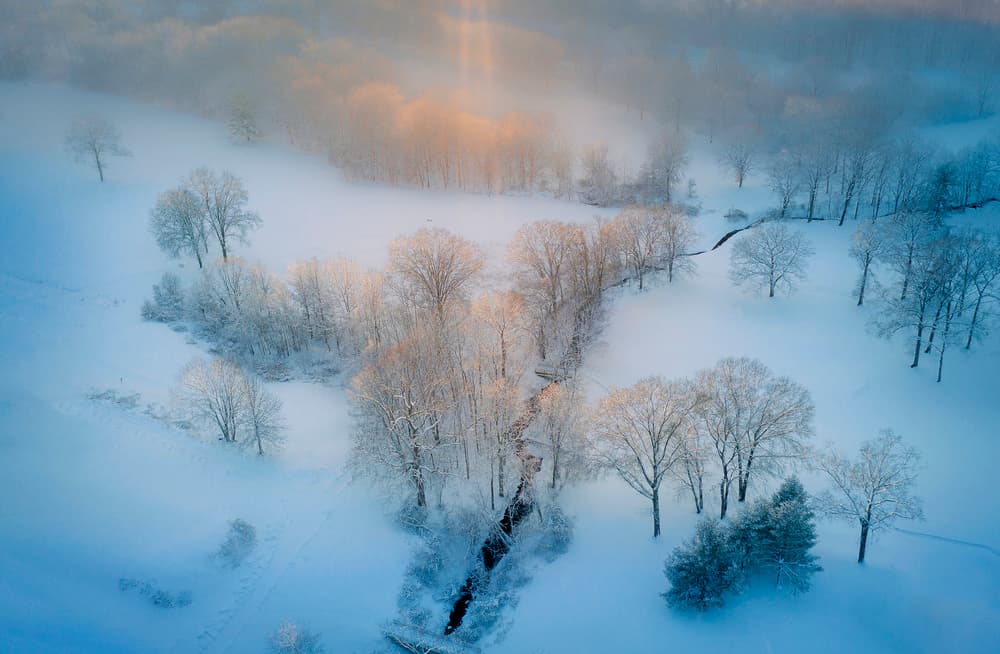 Misty Winter Valley by Wei (David) Dai — canvas wall art