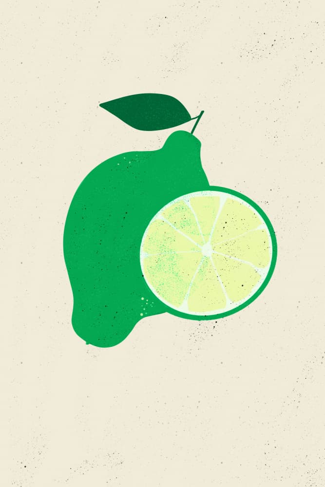 Fresh Lime Slice by sucidraw — canvas wall art