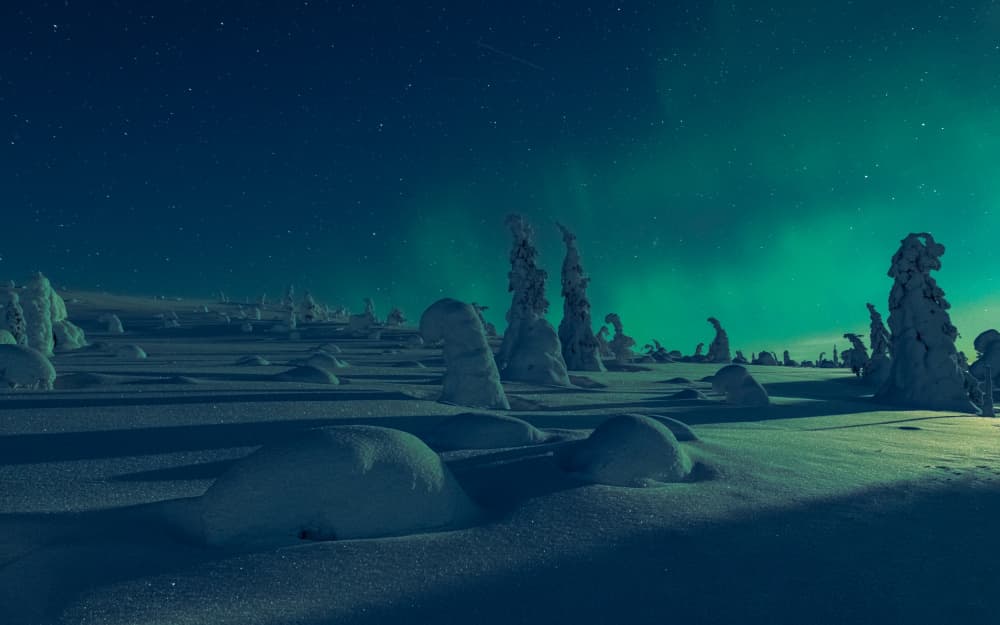 Winter Aurora Landscape by Haim Rosenfeld — canvas wall art