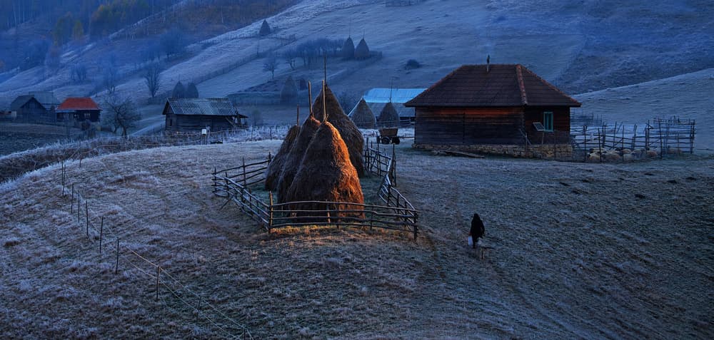 Frosted Rural Morning by Julien Oncete — canvas wall art