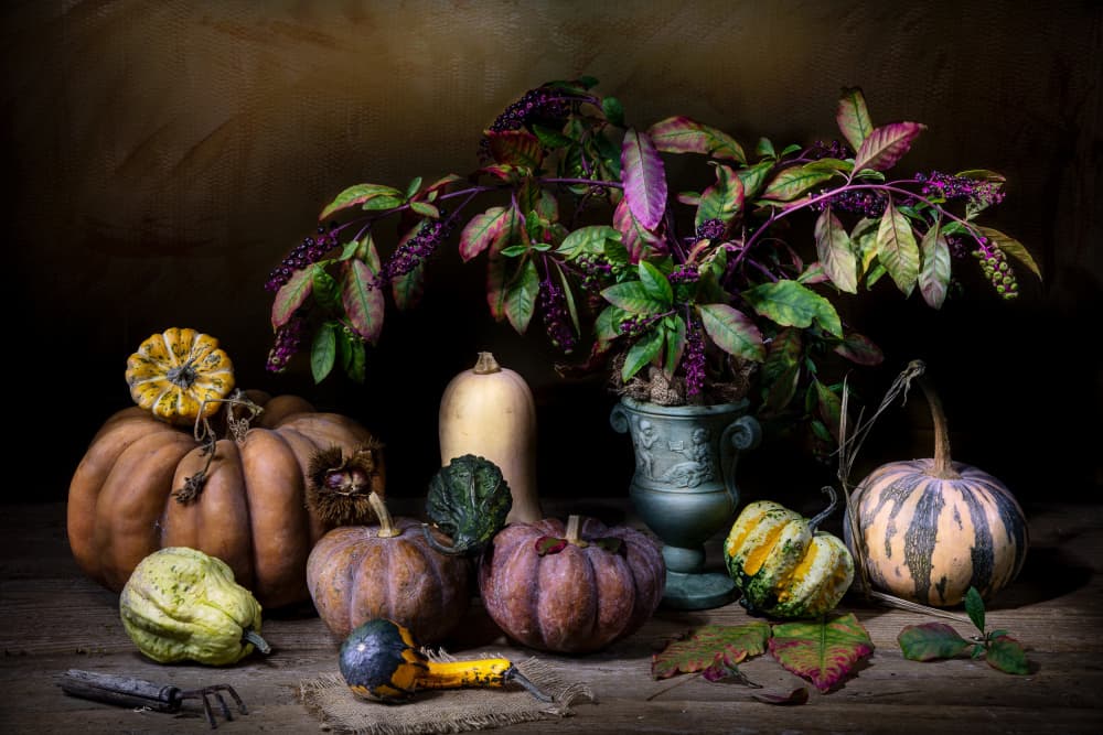 Moody Autumn Harvest by Felice Angelino — canvas wall art