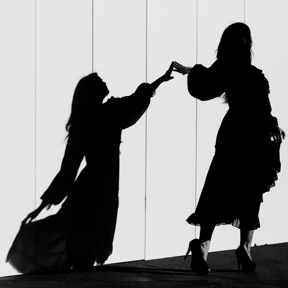 Graceful Shadow Dance by Blue_Rose — canvas wall art