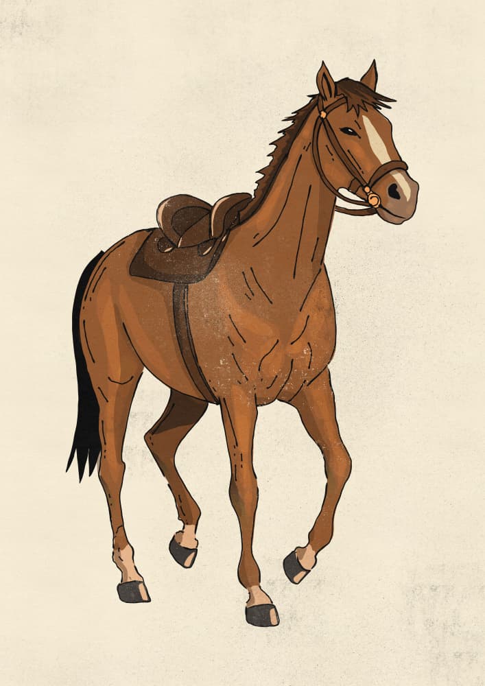 Saddled Brown Horse