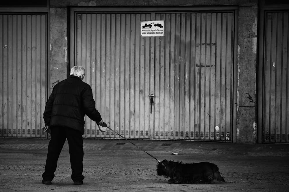 Old Man and Dog by Rui Caria — canvas wall art