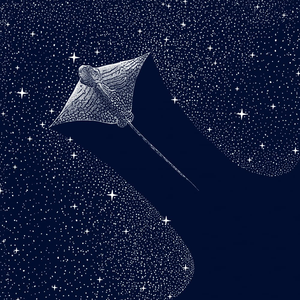 Cosmic Eagle Ray by Alirıza ÇAKIR — canvas wall art