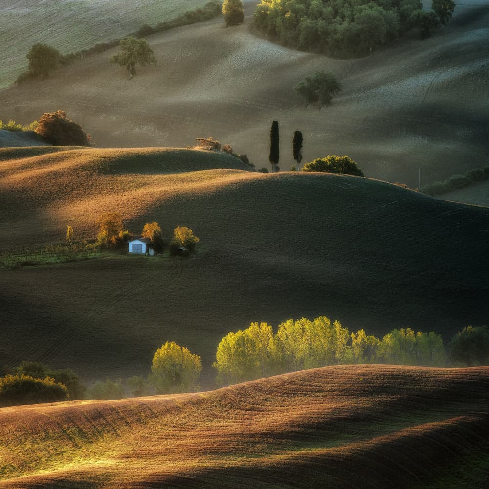Tuscan Rolling Hills Morning by Adam Pachula — canvas wall art