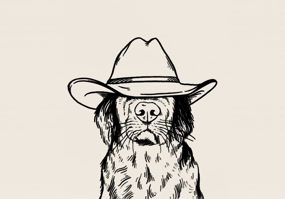 Cowboy Dog Portrait by Tara Royle — canvas wall art