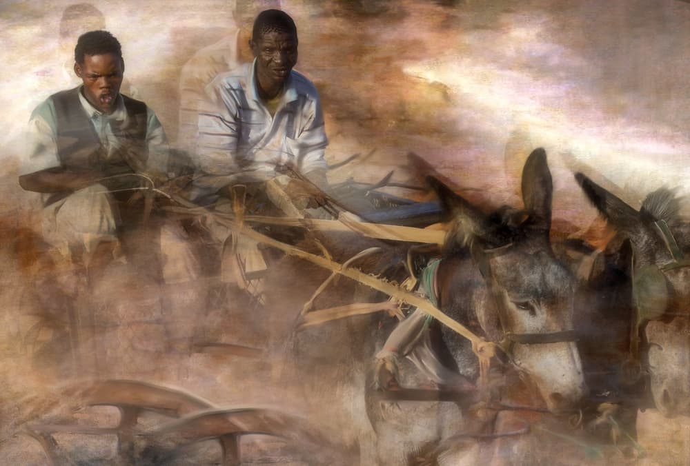 Donkey Cart In Motion by Charlaine Gerber — canvas wall art