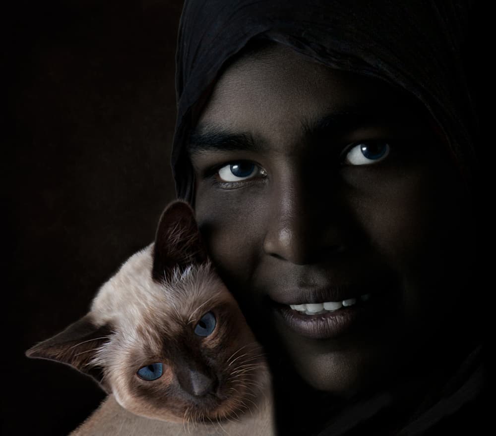 Blue Eyes And Siamese Cat by Sayyed Nayyer Reza — canvas wall art