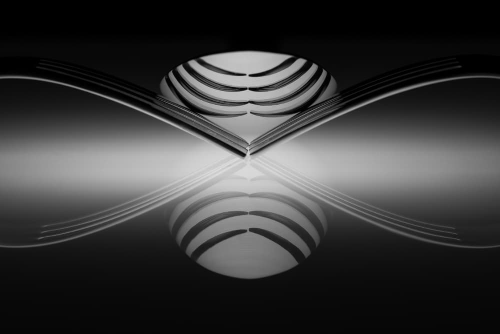 Elegant Fork Symmetry by Caroline Wirtz — canvas wall art