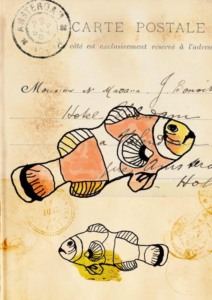Orange Clownfish Postcard by Lembayung senja studio [Vintage Poster] — canvas wall art