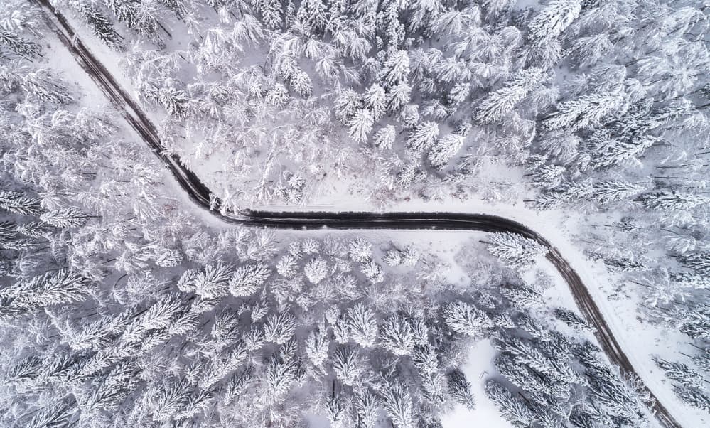 Snowy Forest Road by Ales Krivec — canvas wall art