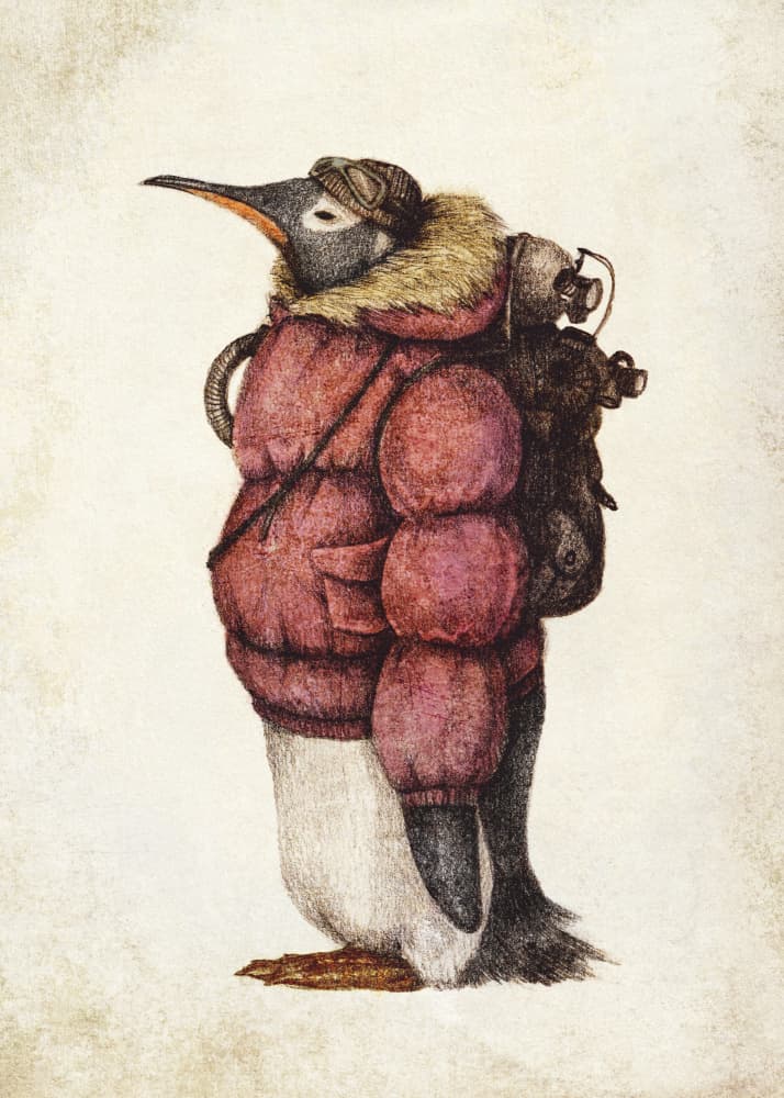 Skybound Penguin by Mike Koubou — canvas wall art