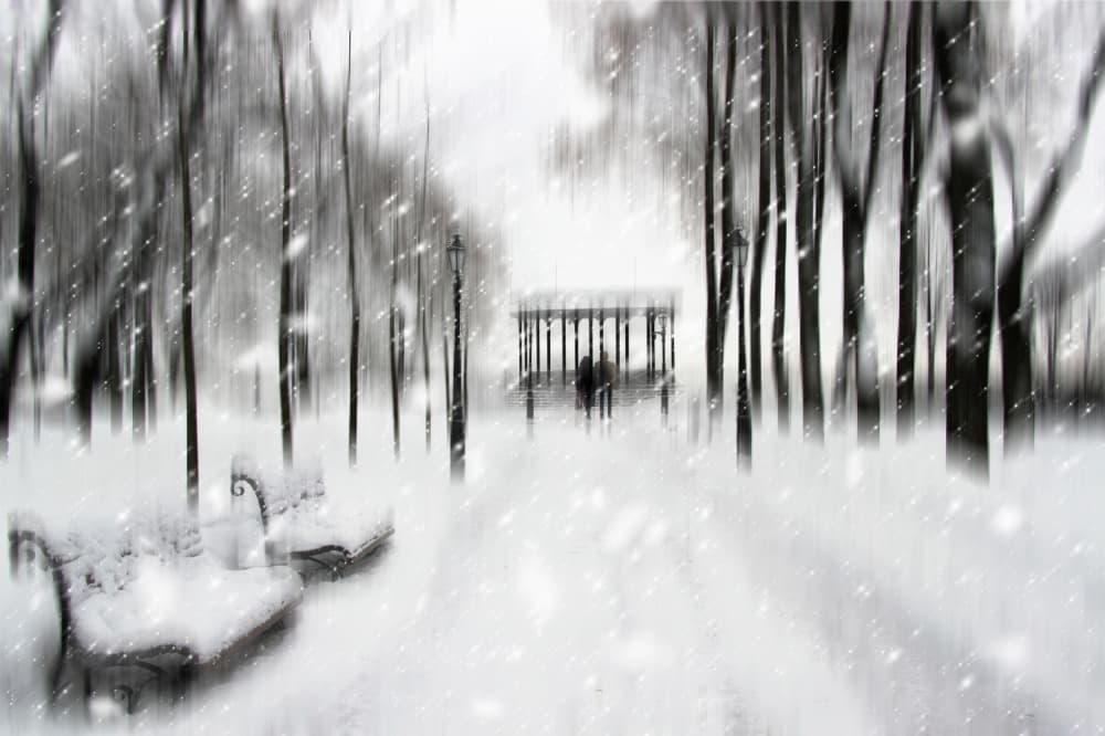 Winter Park Stroll by Alexander Kiyashko — canvas wall art