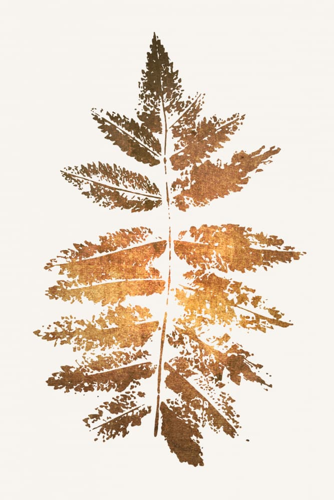 Oak Leaf Print (gold) by Kubistika — canvas wall art