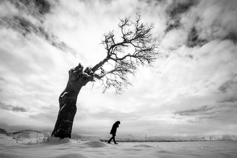 Winter Tree Lone Figure by Nazim Tetik — canvas wall art