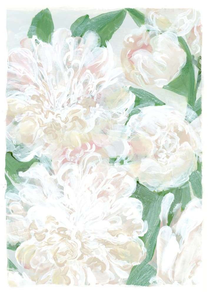 Soft White Peonies