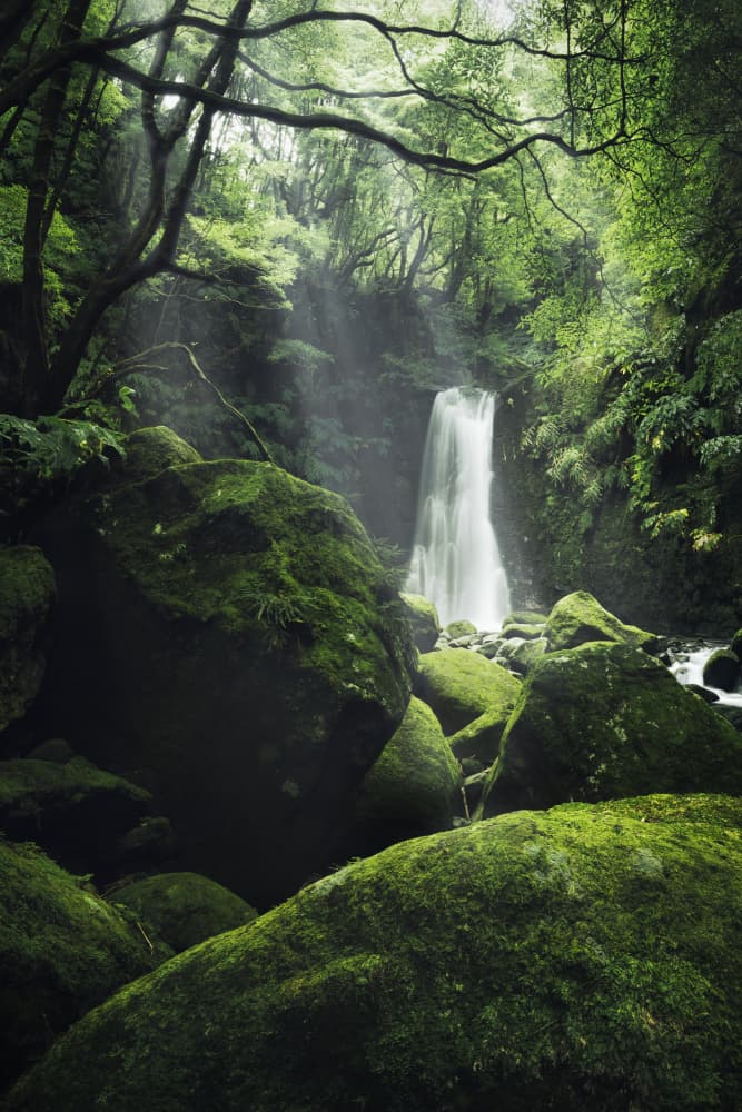 Mystic Falls by Stefan Hefele — canvas wall art