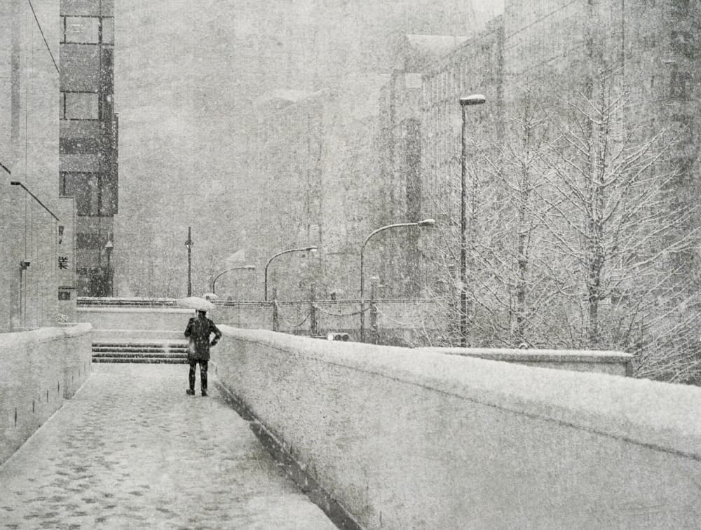Solitary Winter Walk by Yasuhiro Takachi — canvas wall art