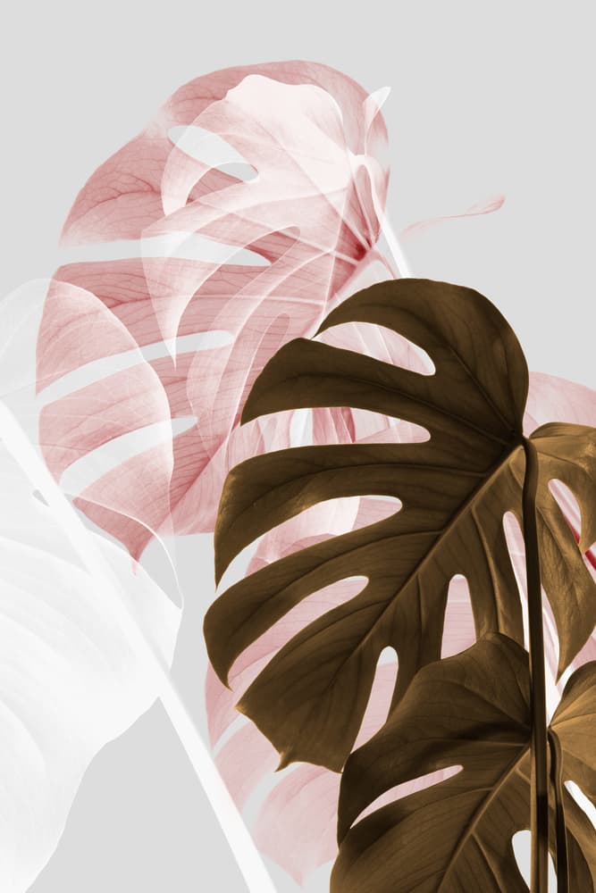 Modern Monstera Layers by Pictufy Studio III — canvas wall art